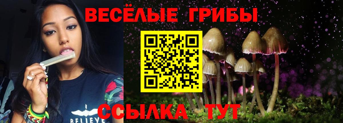 Королёв  Псилоцибиновые грибы Cubensis  Галлюциногенные грибы MAGIC MUSHROOMS  Вход с VPN 
